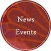 News,Events